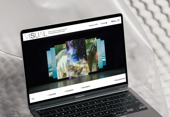 Visual Homepage Desktop Mockup
