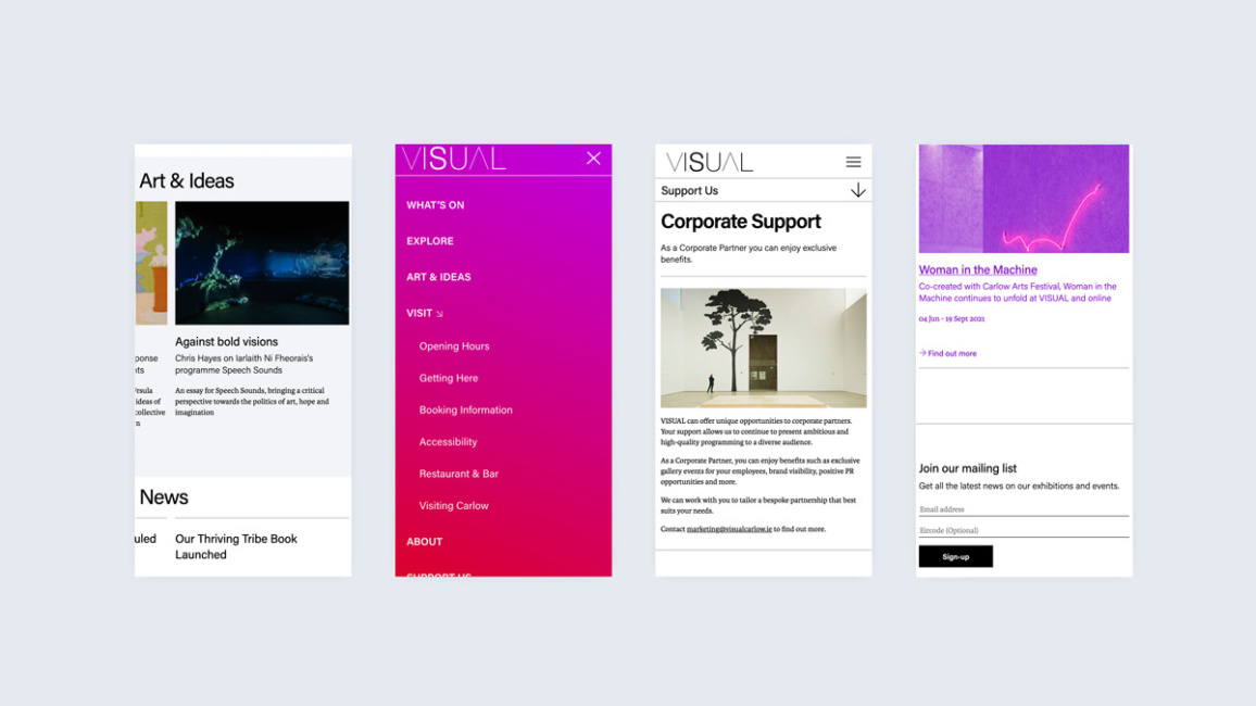 Website design for Visual by Path.ie