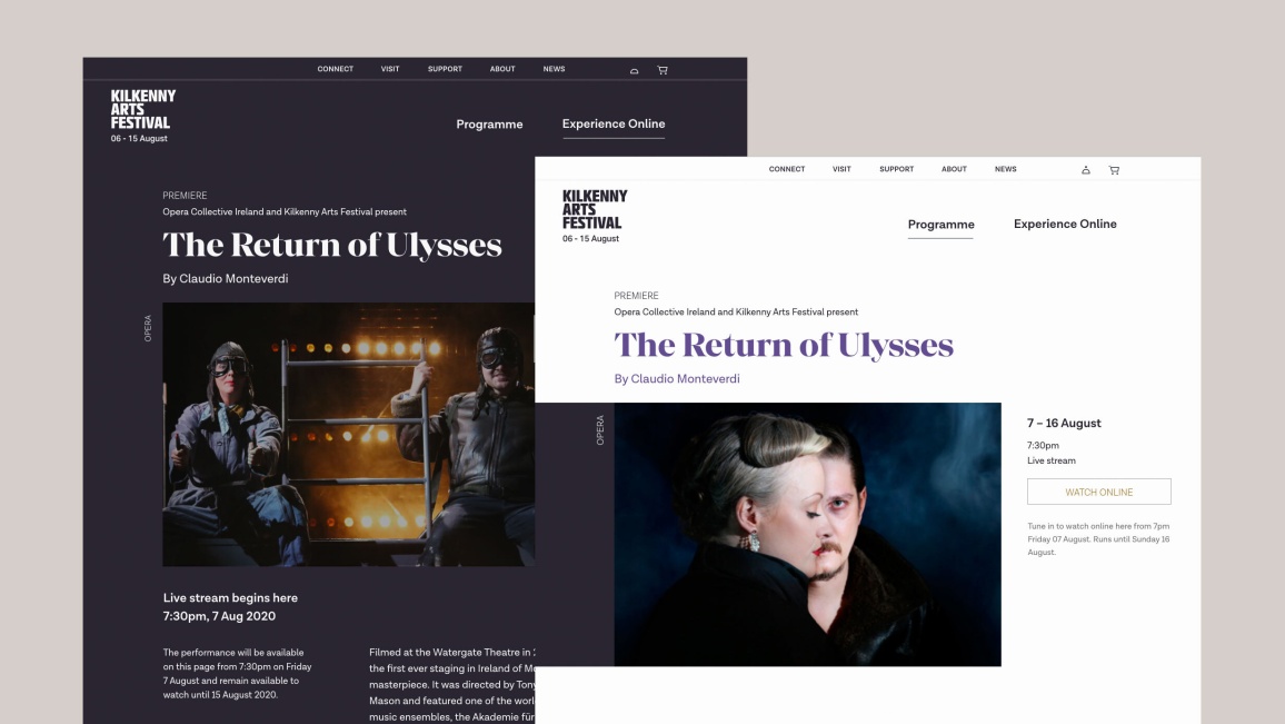 Website Design for Kilkenny Arts Festival Ireland by Path